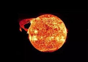 黑太阳变身吃瓜,揭秘神秘吃瓜背后的惊人真相