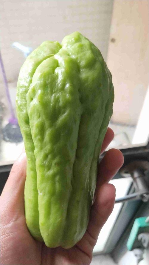 京瓜花茎怎么吃,创意烹饪新宠，美味与营养并存