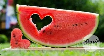 吃瓜 免费,吃瓜群众免费畅享的娱乐盛宴