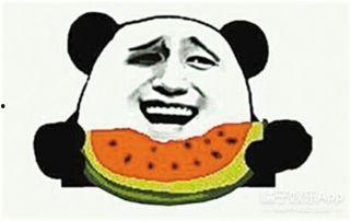 最后吃瓜,揭秘娱乐圈最后吃瓜者的传奇故事