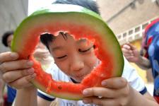 河北姐弟吃瓜,一场夏日的欢乐盛宴